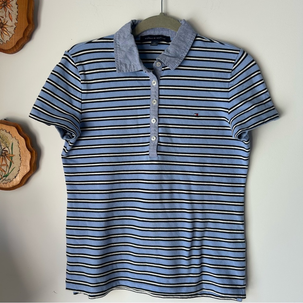 Tommy Hilfiger Blue and Black Striped Shirt